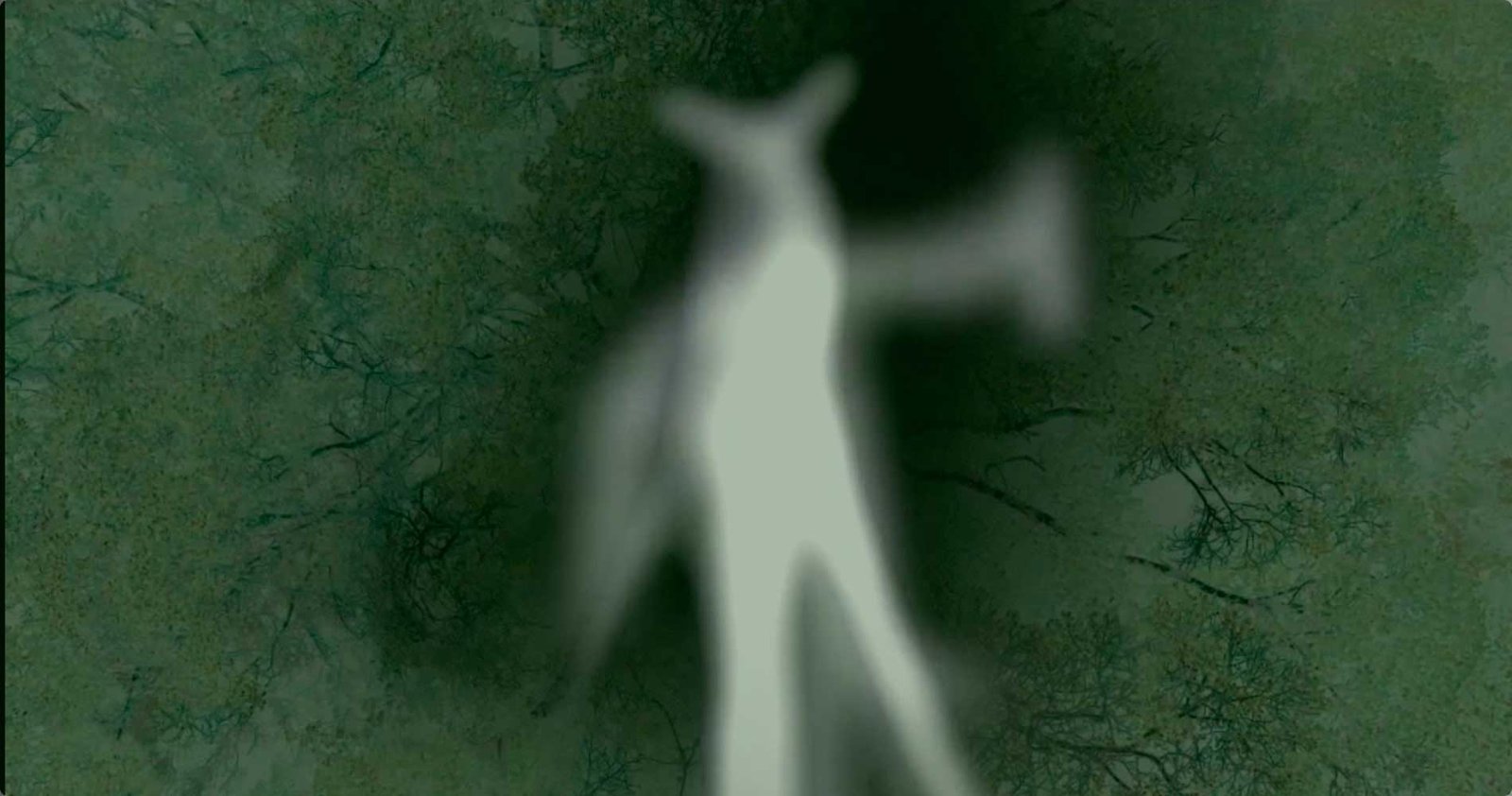 Oniris, o el despertar del cuerpo lúcido