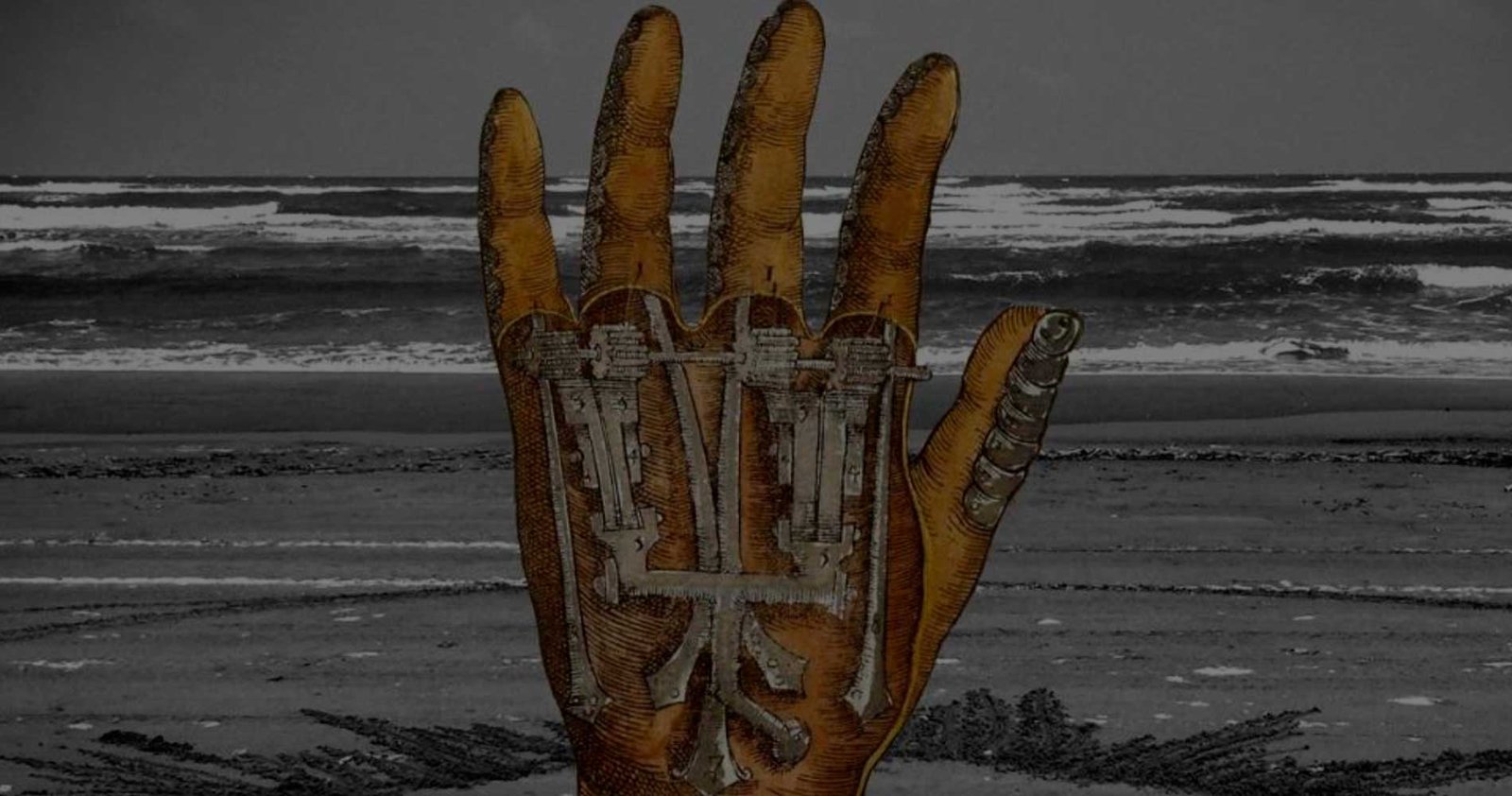 Empatïa 4 – La emociön