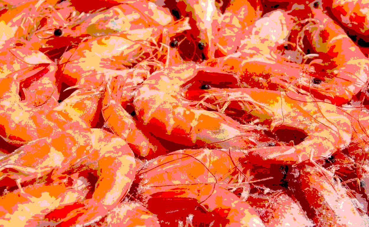 Obertura de las gambas