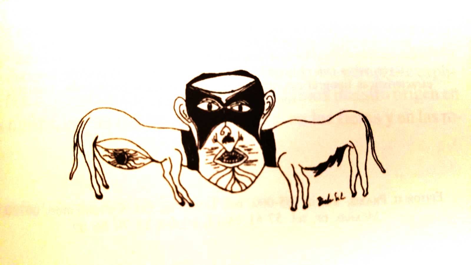 Bidxáa, el sueño de la mutación