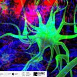 MasterClass : Bioscénica, 20 años