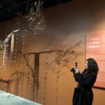 EFIARTES, un problema con solución