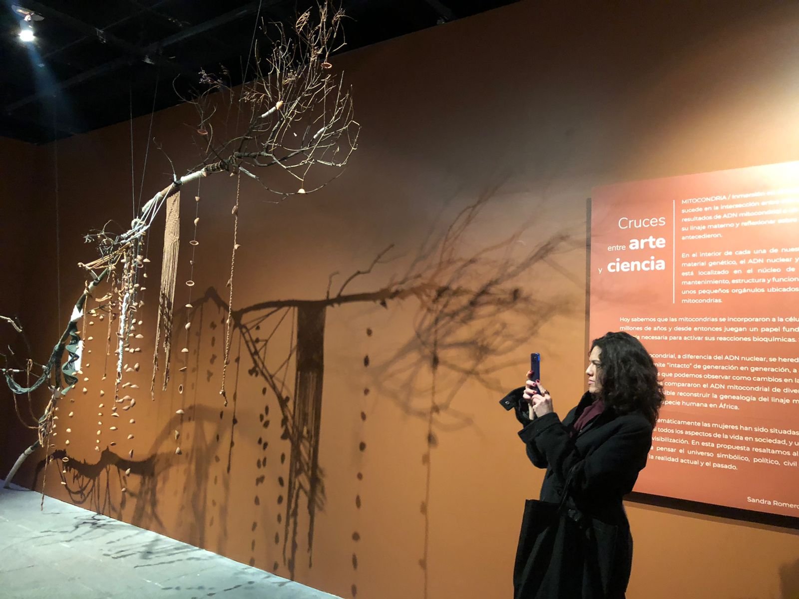 EFIARTES, un problema con solución