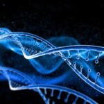 MITOCONDRIA / Plataforma de Arte Contemporáneo & Genómica